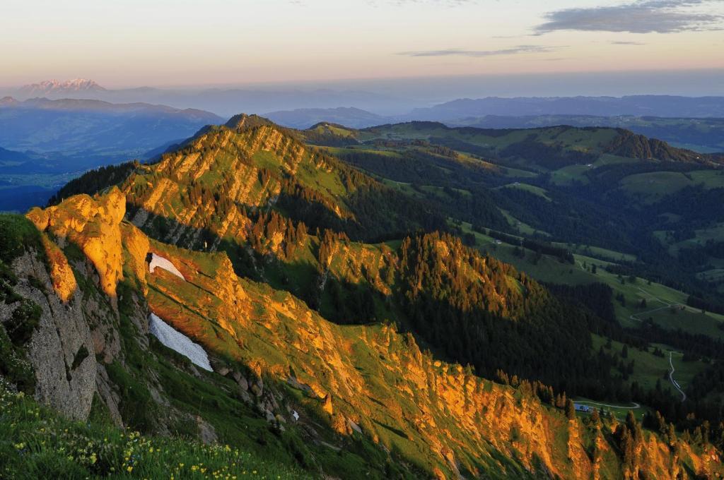 Alpin & Wellness Resort Hotel Ludwig Royal Oberstaufen Bagian luar foto